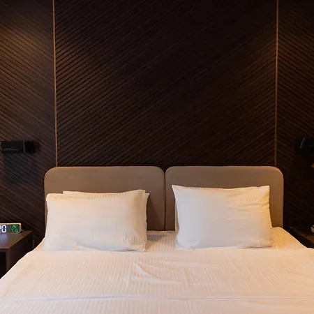 Hotell Park Bristol *